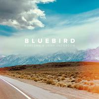 Bluebird