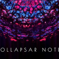 COLLAPSAR NOTES