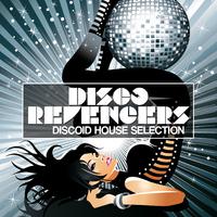 Disco Revengers, Vol. 3 (Discoid House Selection)