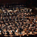 Melbourne Symphony Orchestra