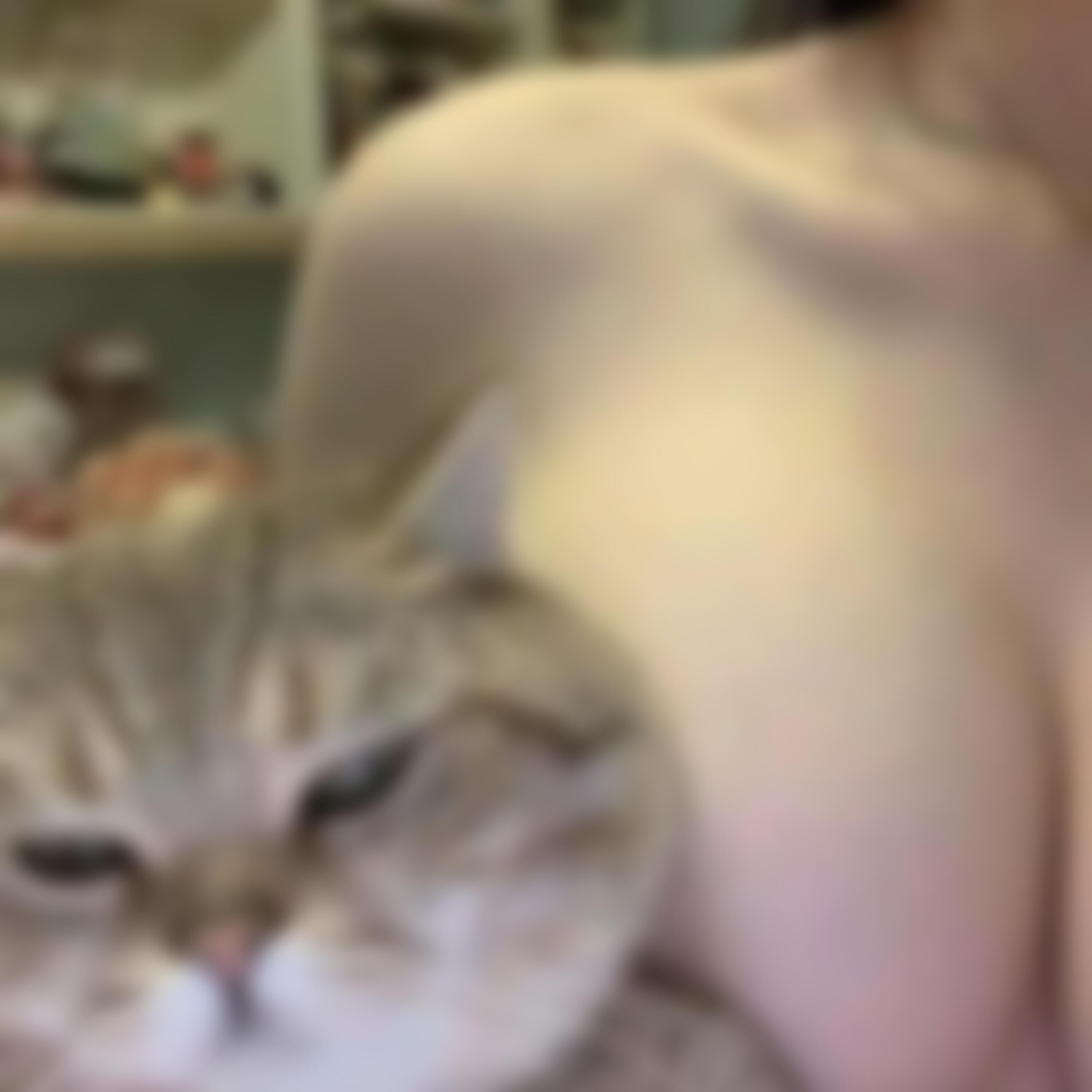 foyb (feat. neioxo & hoshie star)