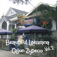 Beautiful Louisiana - Cajun Zydeco, Vol. 2