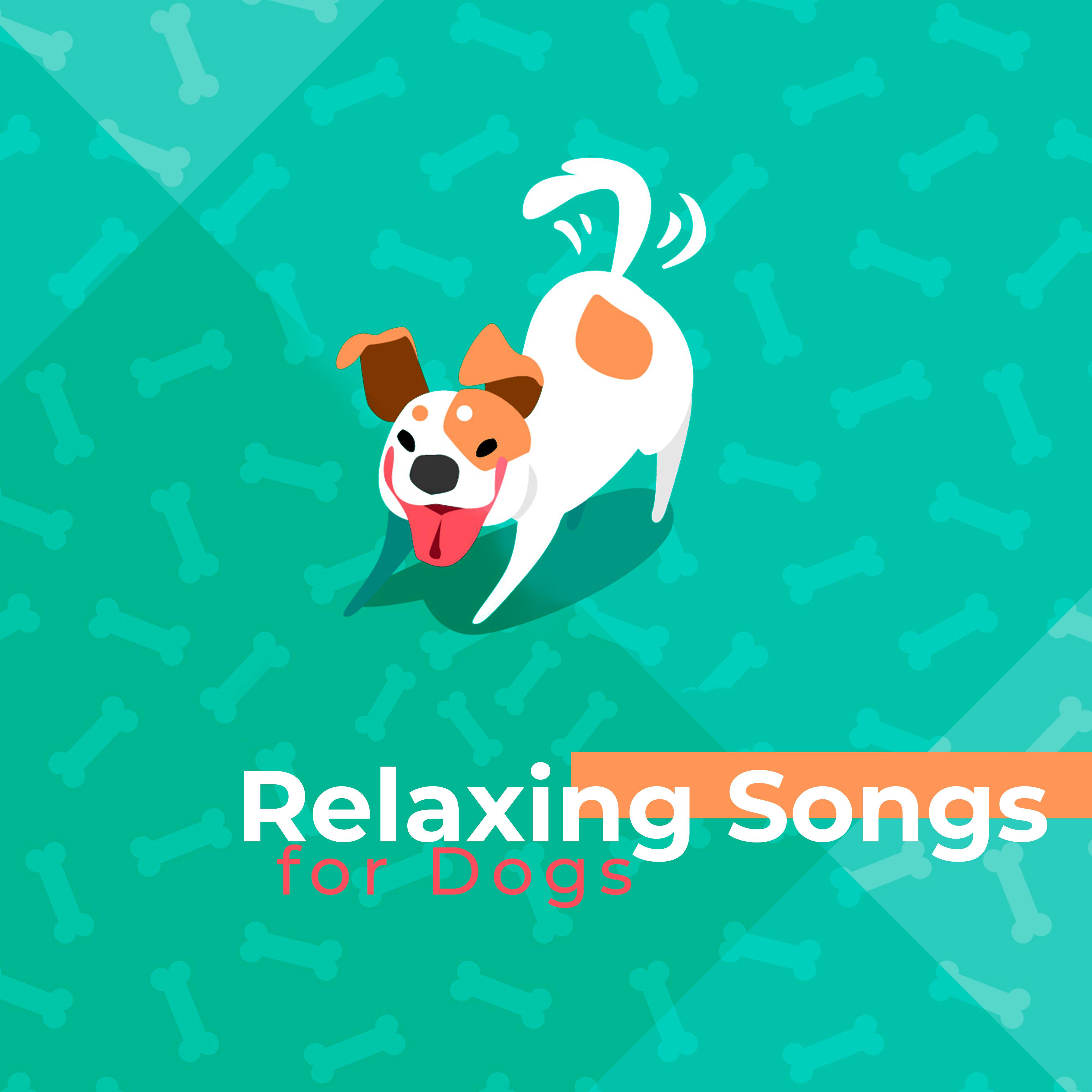 Music for Dogs