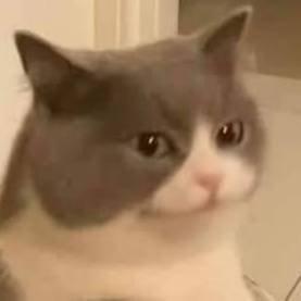 保洁小妹刘铁柱