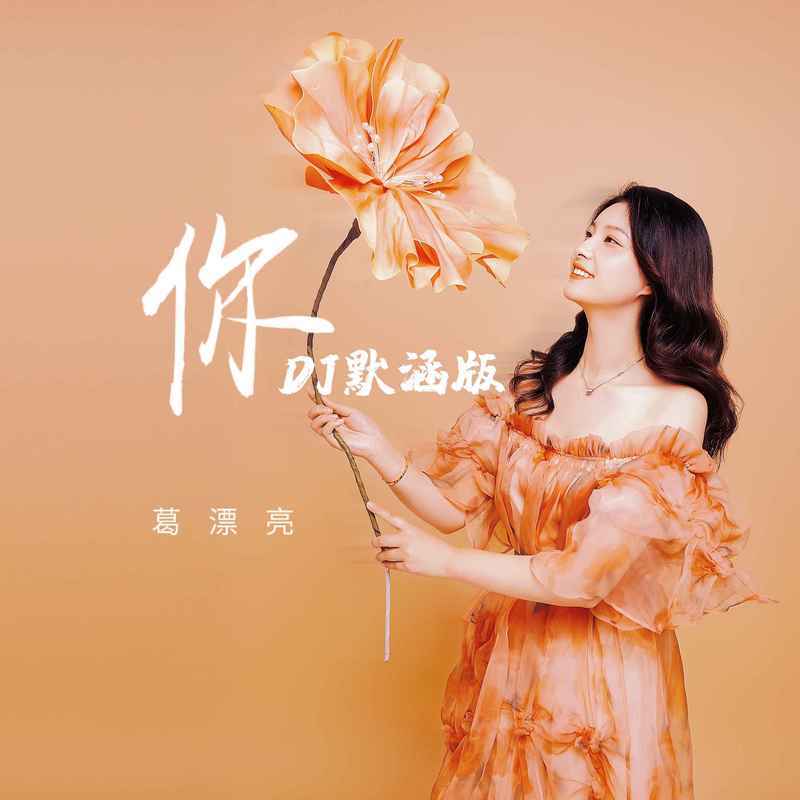 你(DJ版)封面