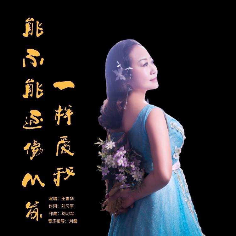 能不能还像从前一样爱我封面