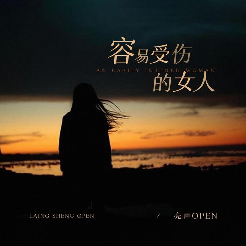 容易受伤的女人封面