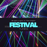 Bright Light in the Night (Festival Tunes), Vol. 2