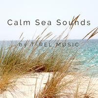 Calm Sea Sounds资料,Calm Sea Sounds最新歌曲,Calm Sea SoundsMV视频,Calm Sea Sounds音乐专辑,Calm Sea Sounds好听的歌