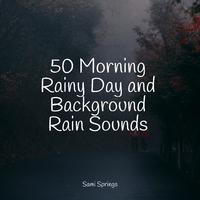 50 Morning Rainy Day and Background Rain Sounds