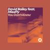 David Bailey - You Don't Know (Underground Project Extended Instrumental)