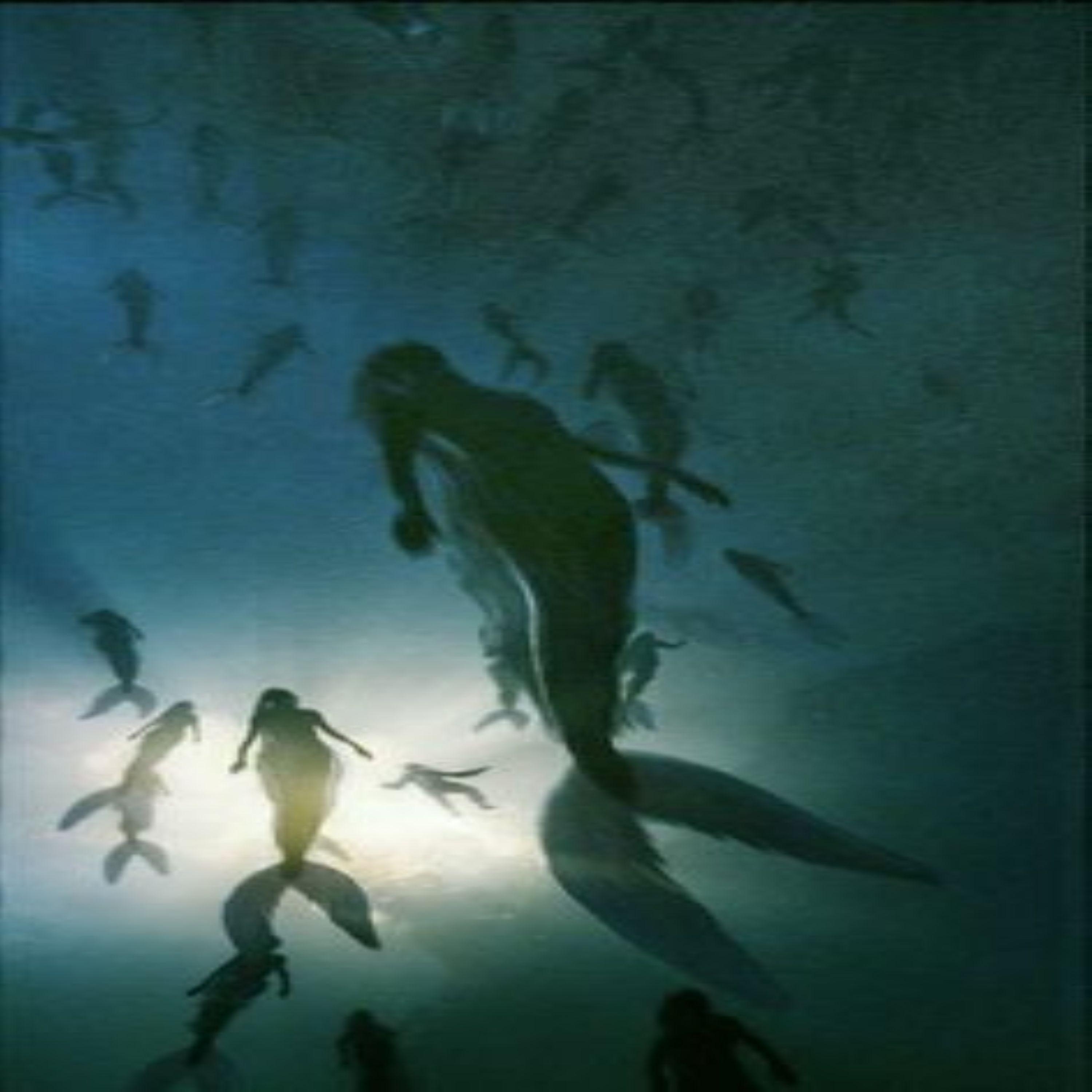 Automotivo Bibi Fogosa (slowed)