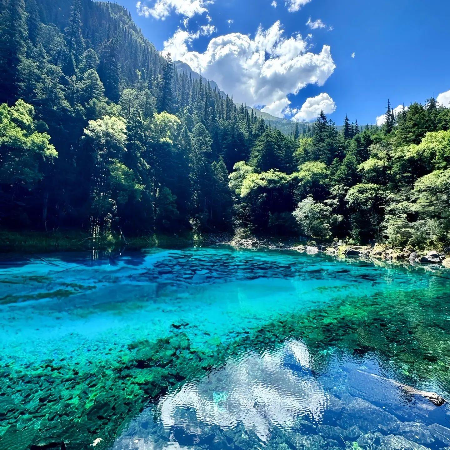 时间的声音封面