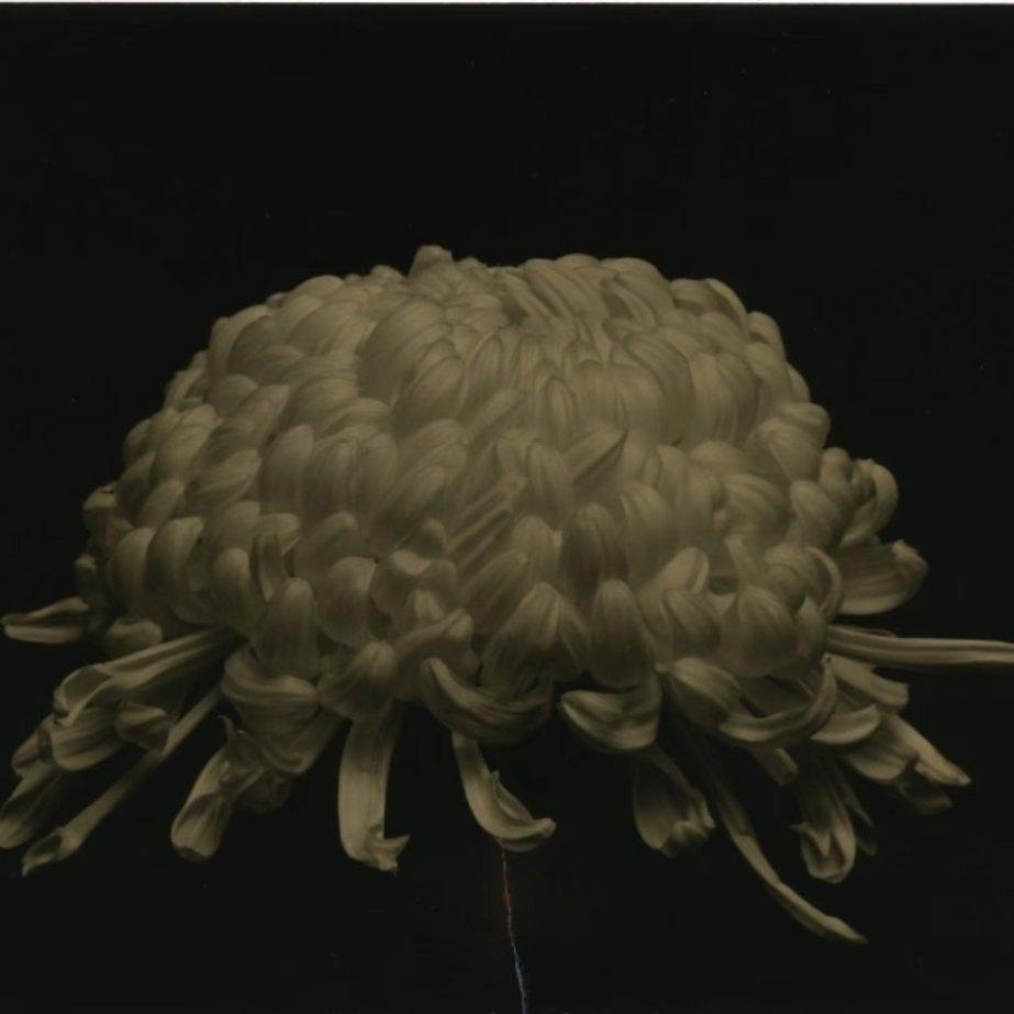 我不是你二大爷233