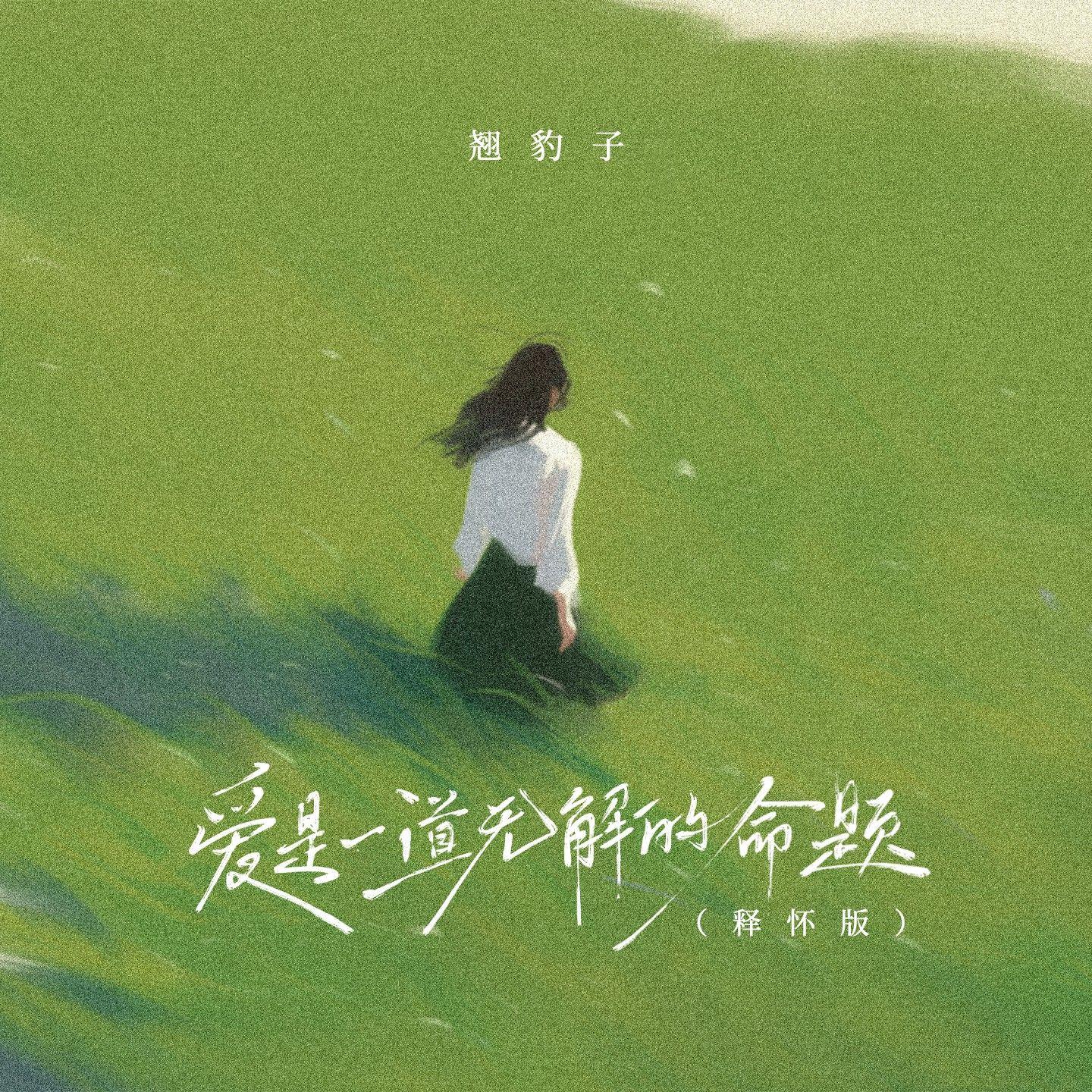 爱是一道无解的命题(释怀版)封面
