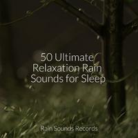 50 Ultimate Relaxation Rain Sounds for Sleep