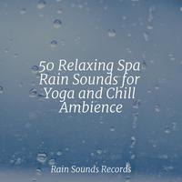 50 Relaxing Spa Rain Sounds for Yoga and Chill Ambience