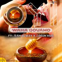 Waha Dovamo (feat. S. Drum Kidd & Sean Blizzy)