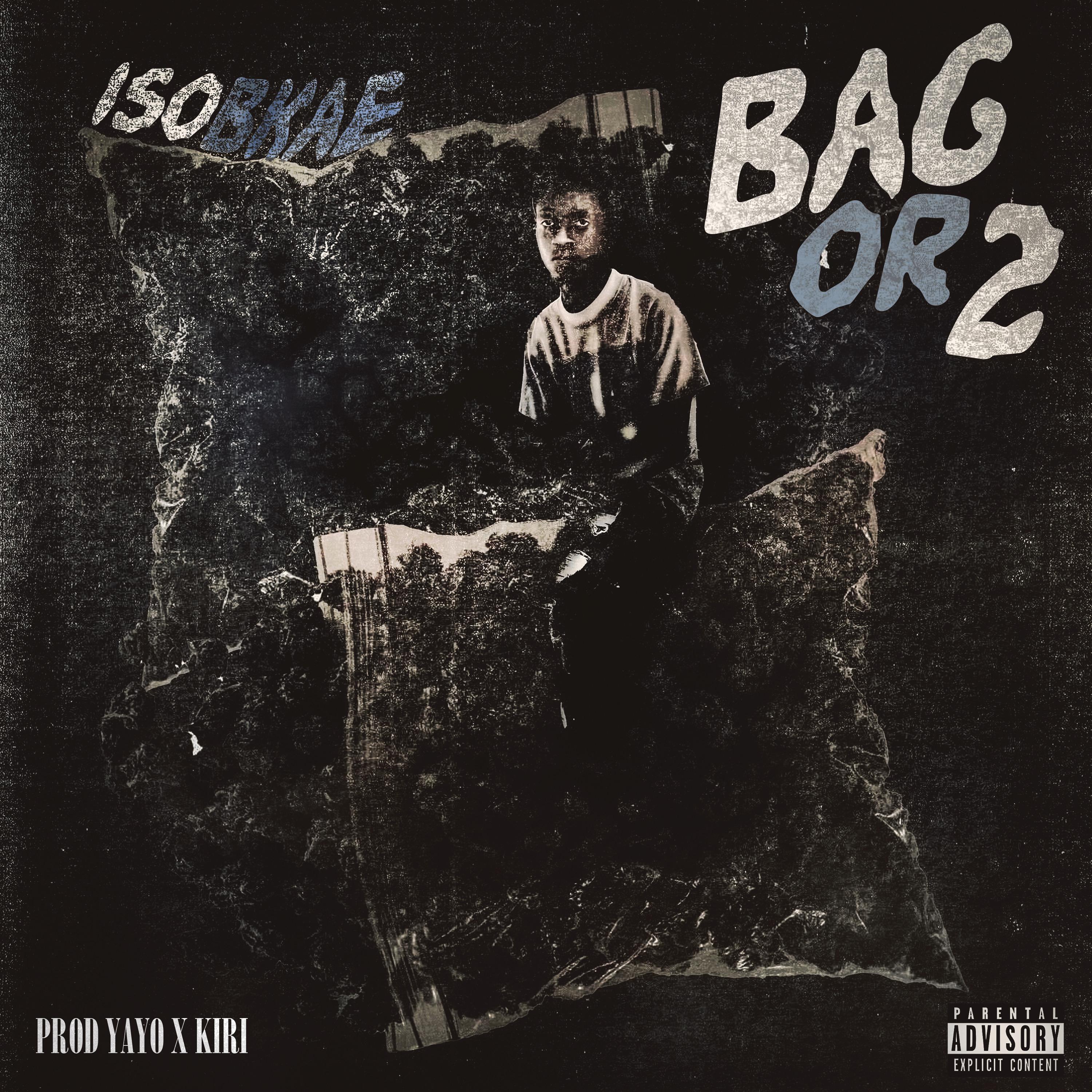 Bag Or 2