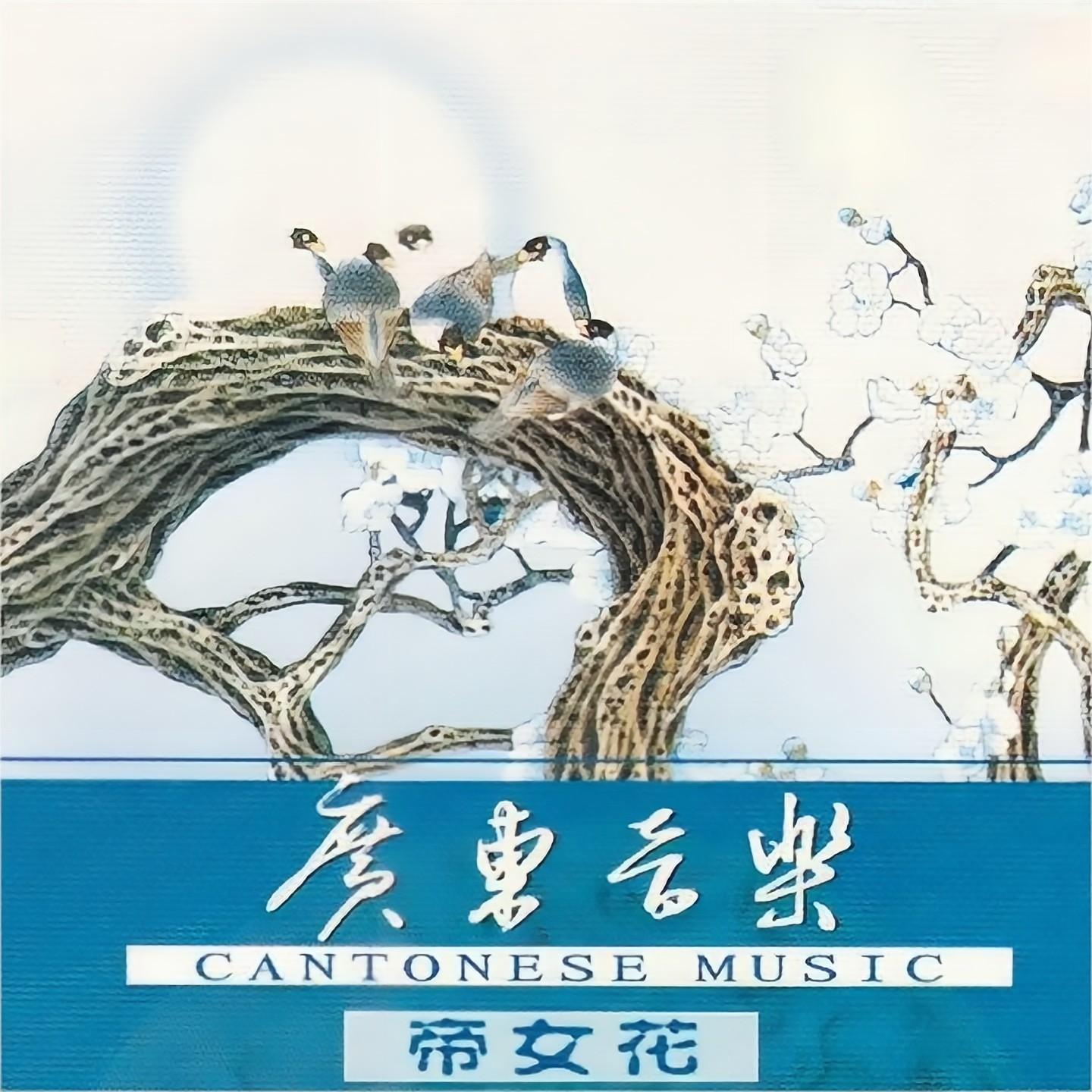 星湖荡舟封面