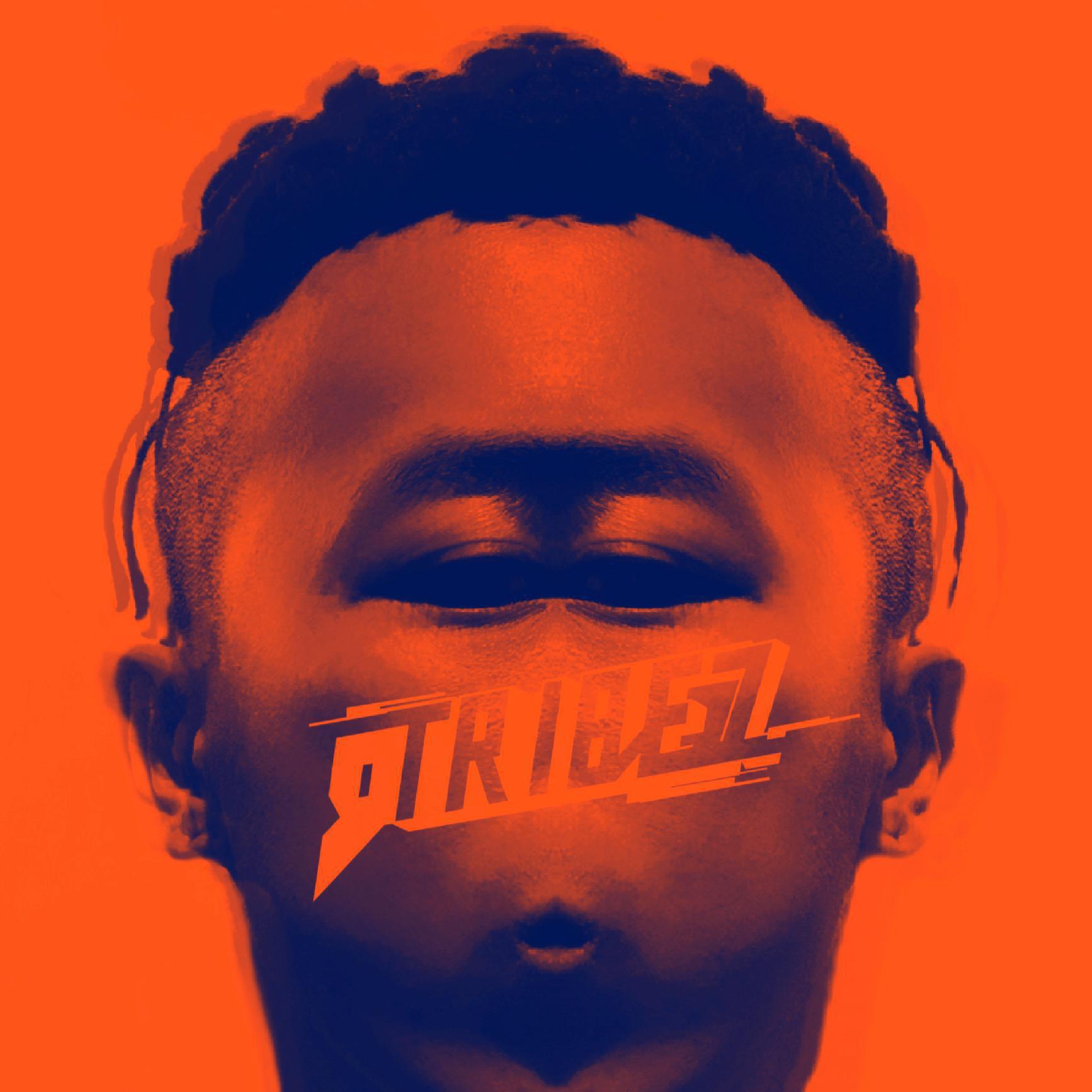 《9Tribez》《耐踹》《Dragon X》赵辰龙