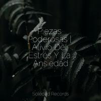 Piezas Poderosas | Alivio Del Estrés Y La Ansiedad