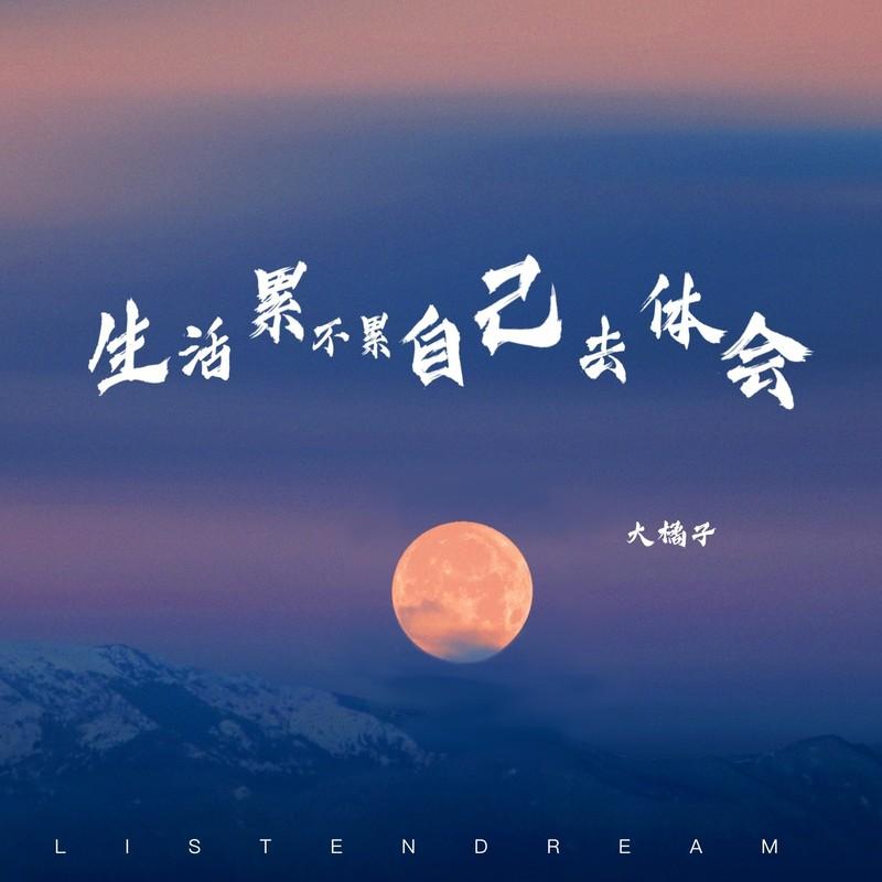 生活累不累自己去体会封面