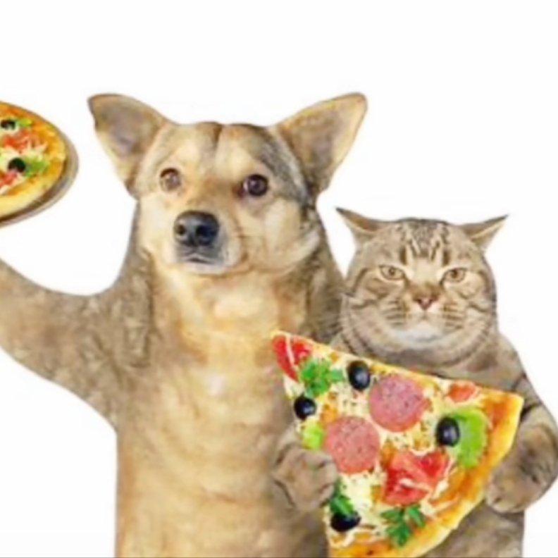 休闲性+随机+超长歌单