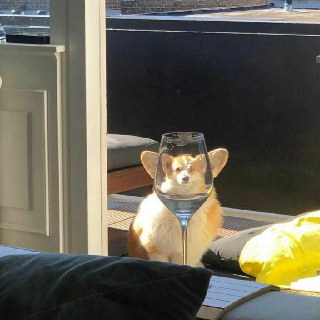 · The chorus of single ·