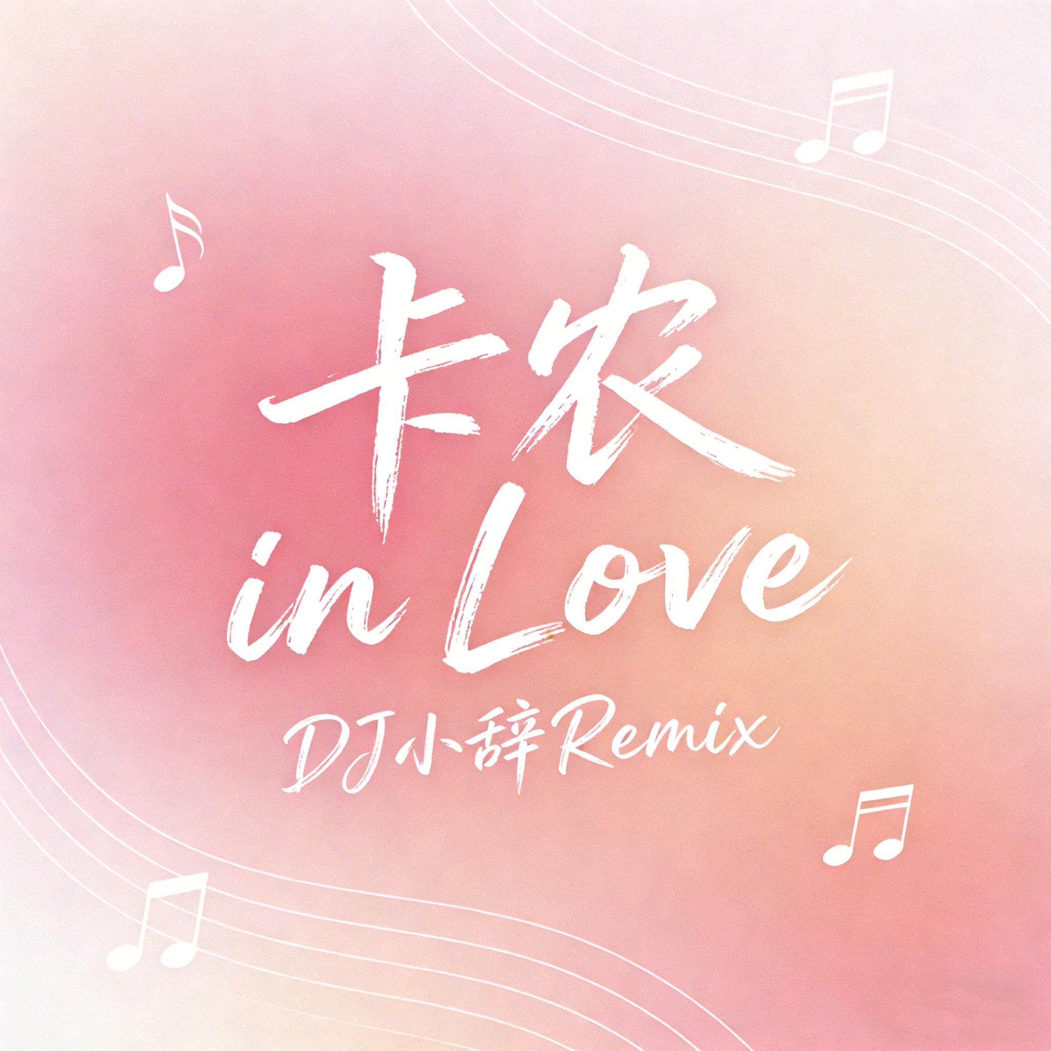 Canon in Love (DJ小辞Remix)