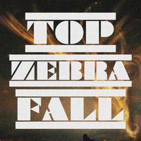 Top Zebra Fall