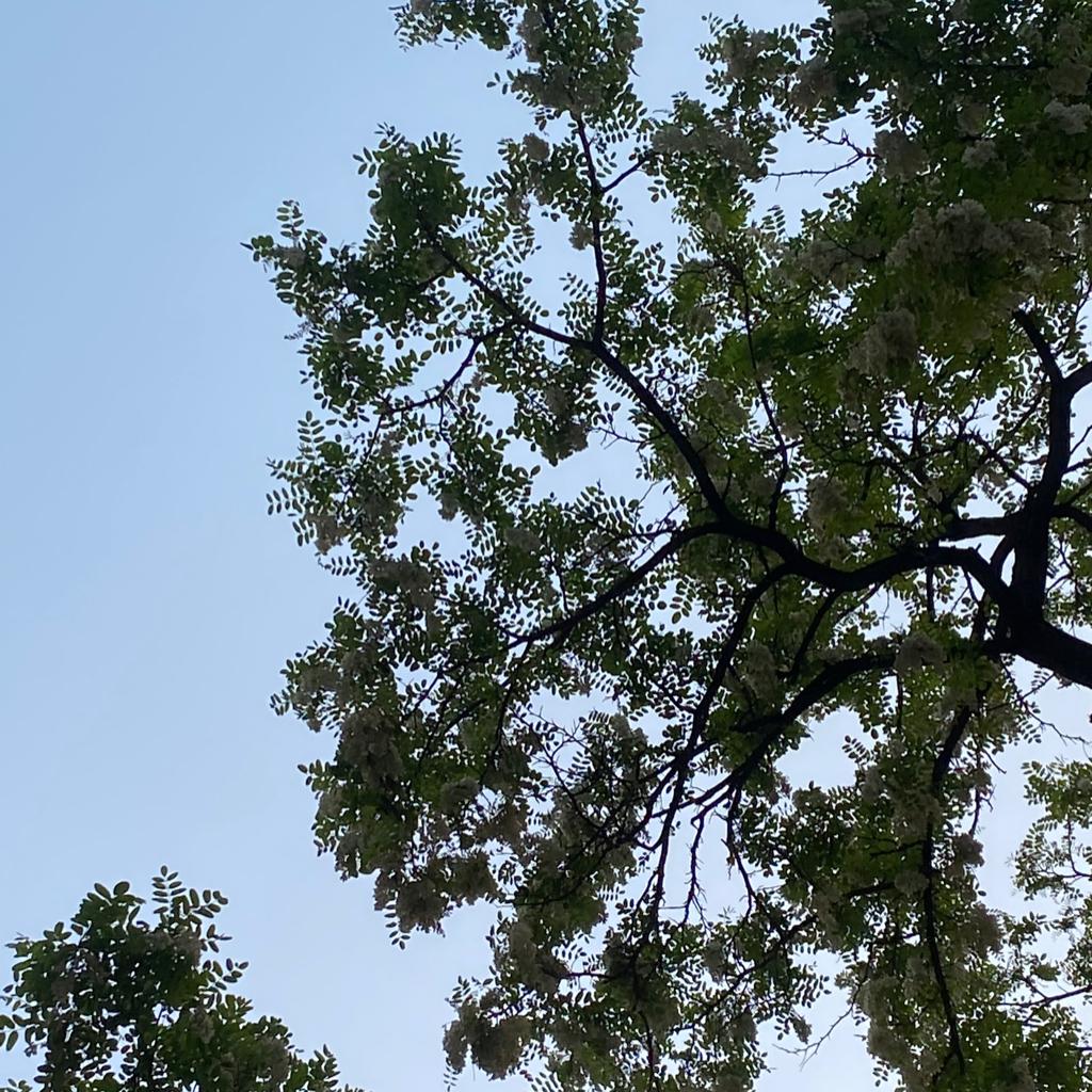 如果留不住就别勉为其难-