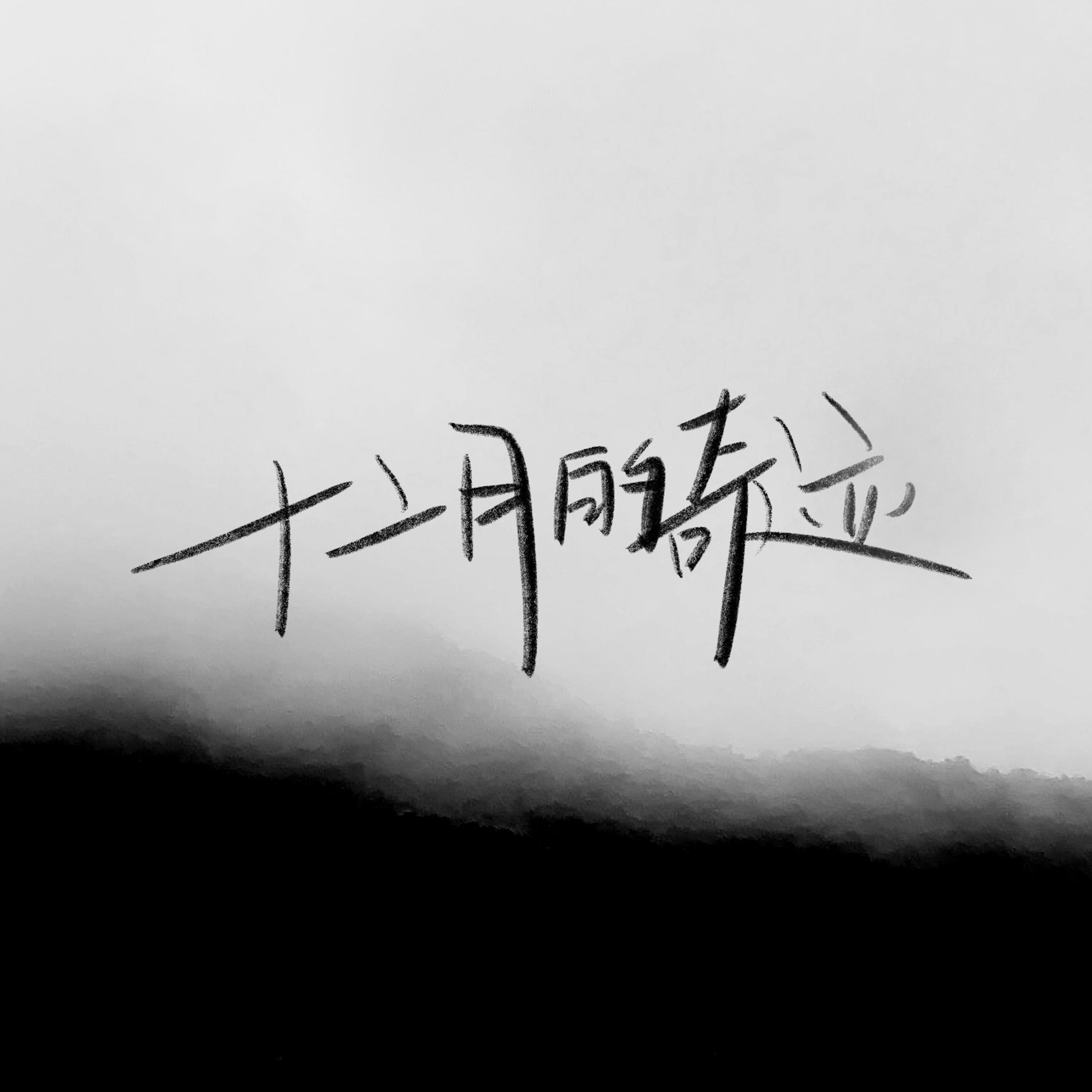 十二月的奇迹 (DJ版)封面