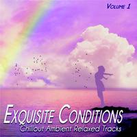 Exquisite Conditions, Vol.1 - Chillout Ambient Relaxed Songs