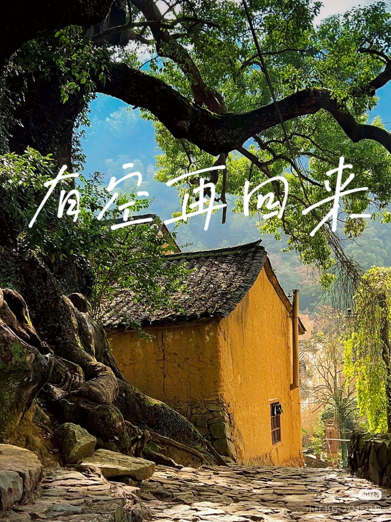 有空再回来封面