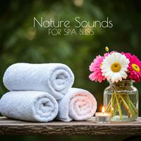 Nature Sounds for Spa Bliss