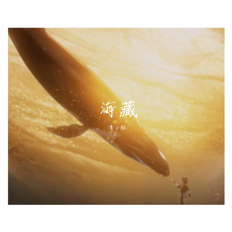 海藏 - 青小栩封面