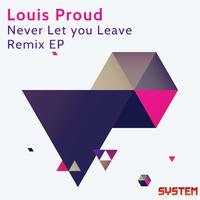 Never Let You Leave Remix