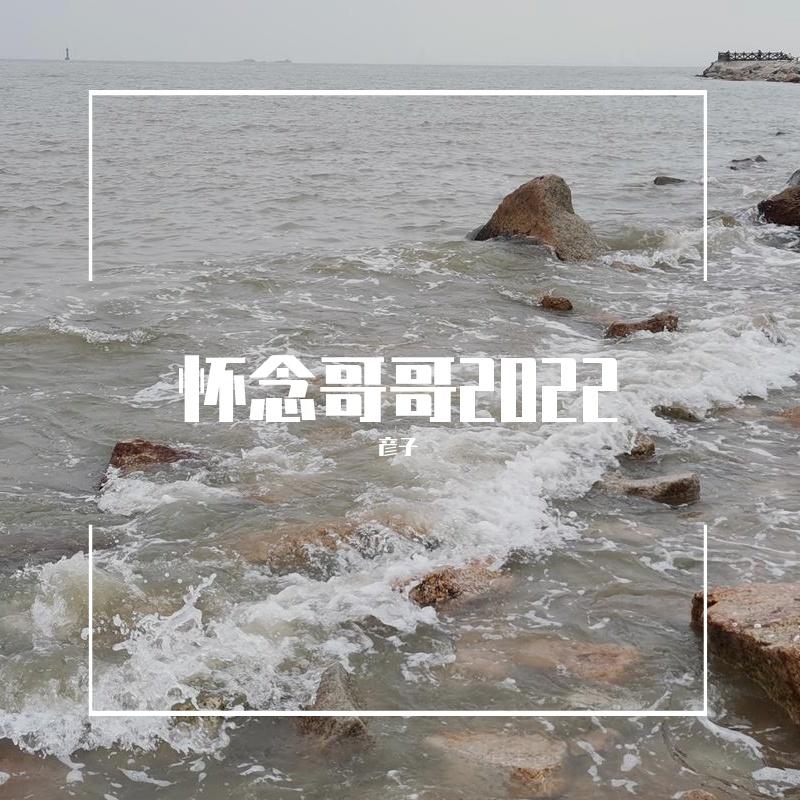 一片痴 - 彦子封面