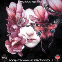 Boom - Tech-House Selection, Vol. 2