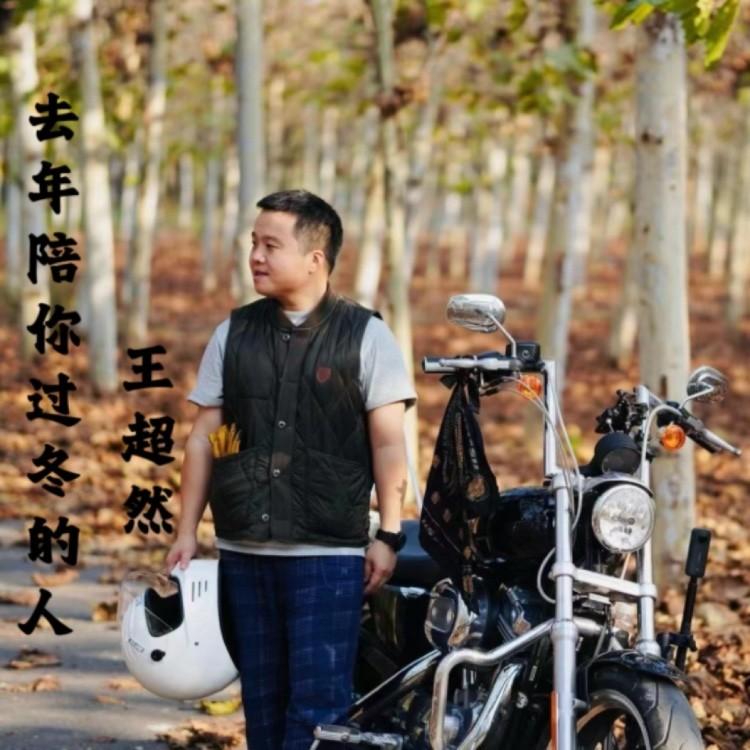 去年陪你过冬的人封面