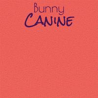 Bunny Canine