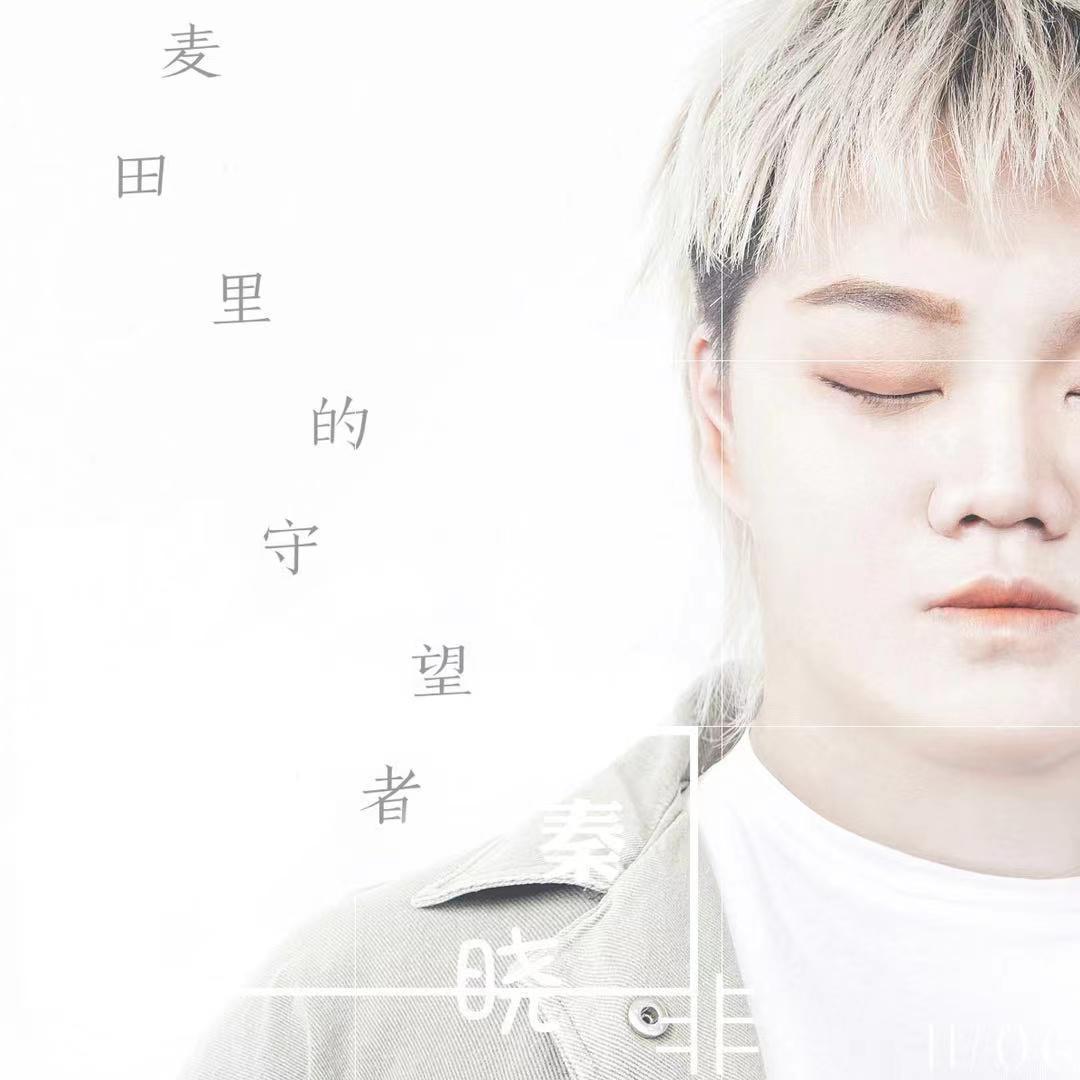 没有候鸟的南方封面