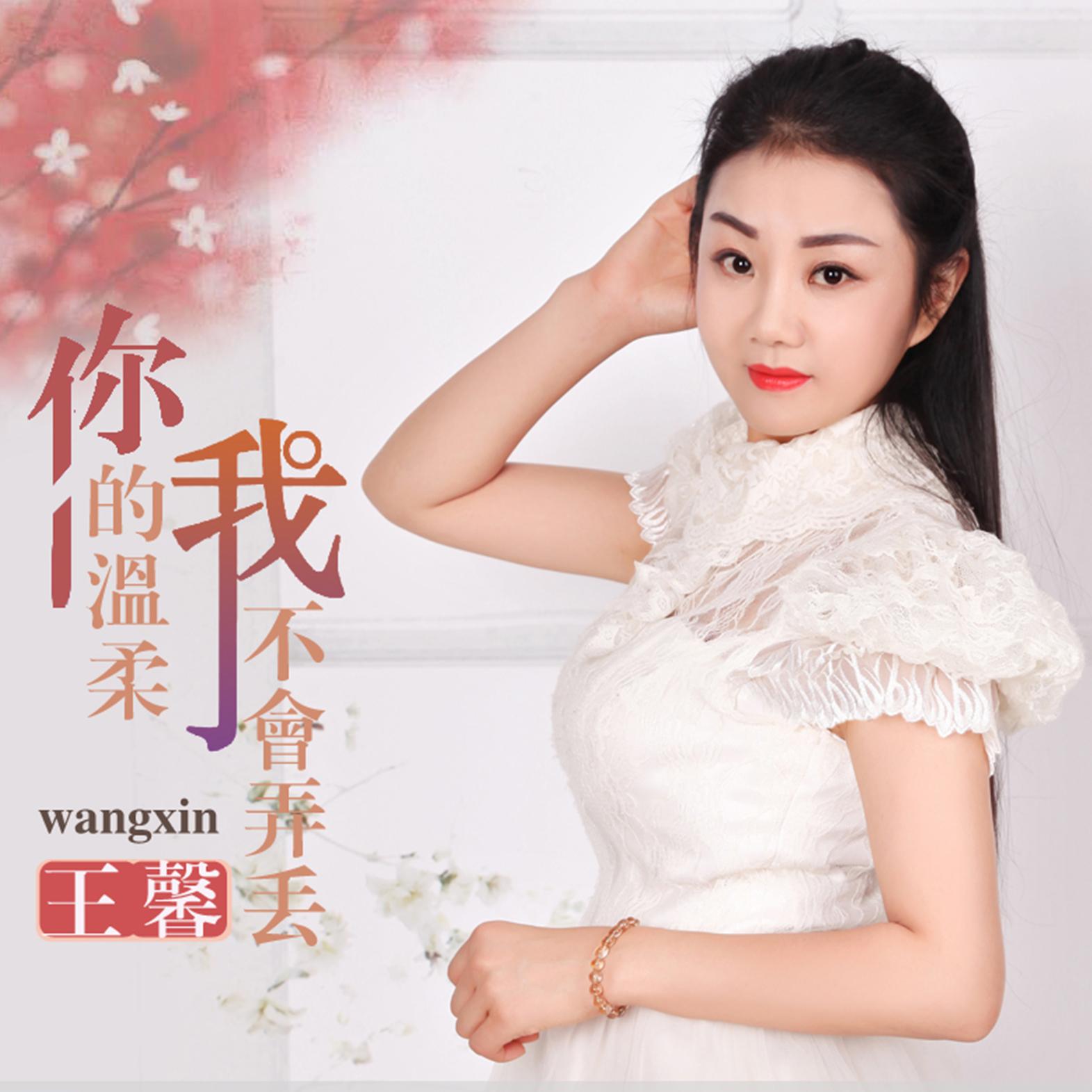 你的温柔我不会弄丢 (DJ版)封面