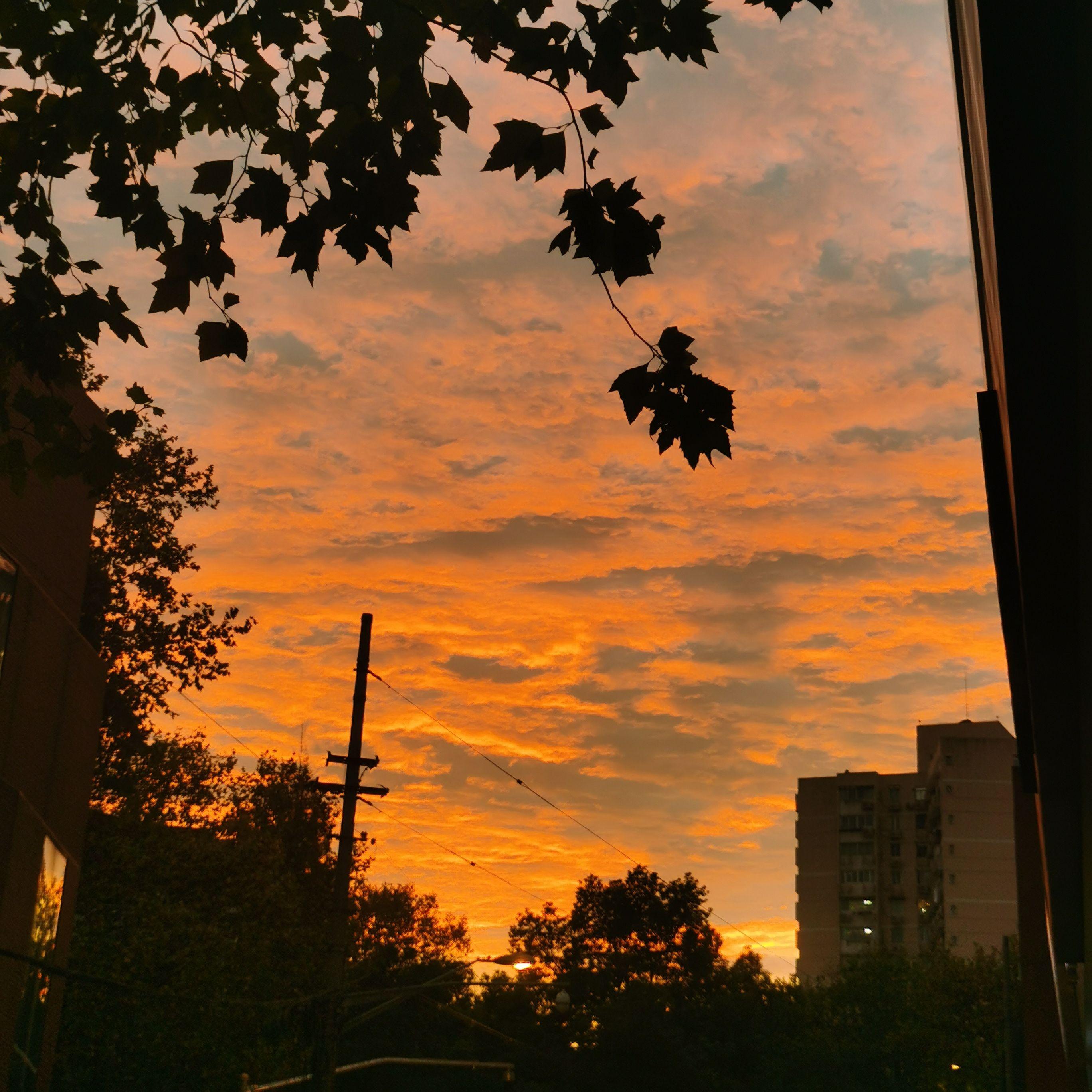 Nice Boys (Cover TEMPOREX)