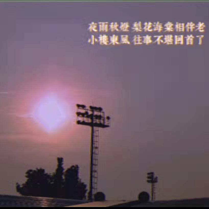 不开的唇封面