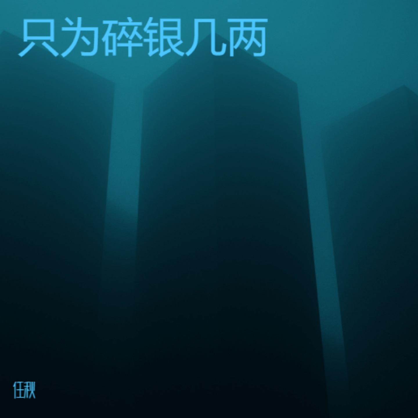 只为碎银几两封面