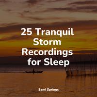 25 Tranquil Storm Recordings for Sleep