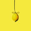 Nate Good - Lemon Drop