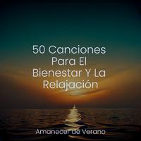 50 Canciones Para El Bienestar Y La Relajación